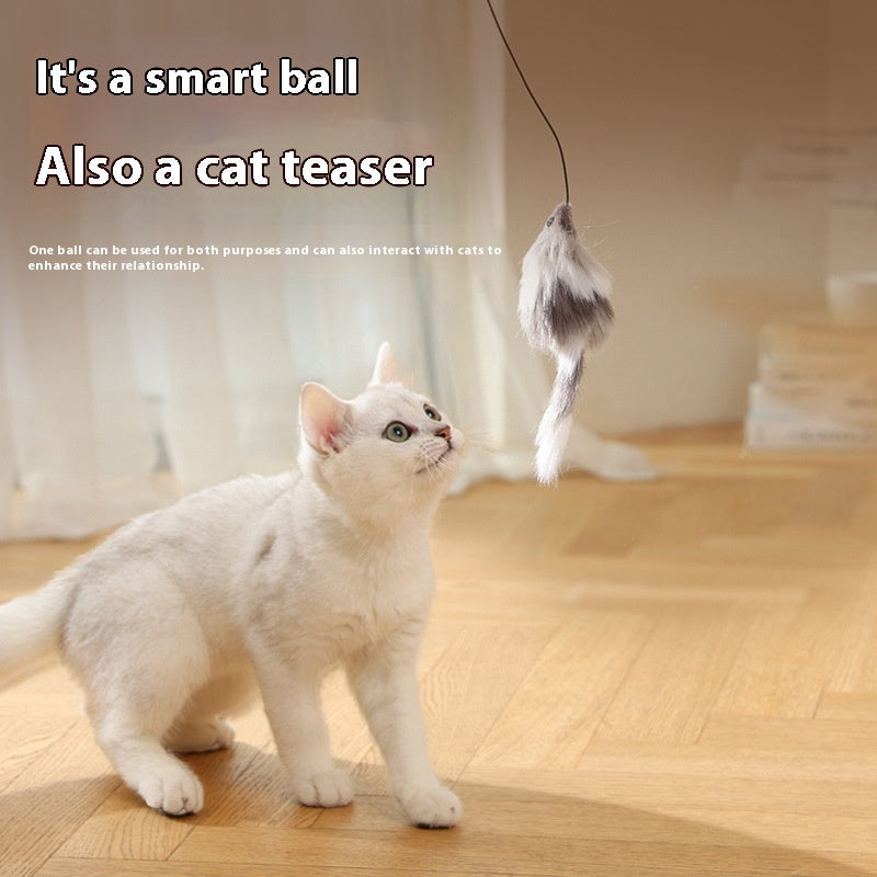 Cat Toys Mouse Teaser Ball Funny Moving Toy For Pets Cat Dog Electric