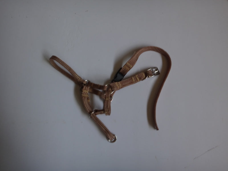 Comfort Trainer Head Halter Size 3