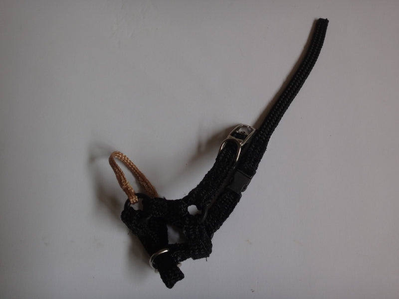 Comfort Trainer Head Halter Size 3