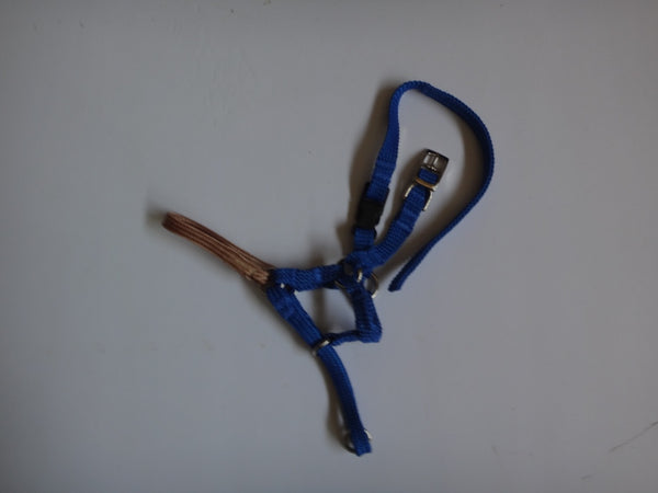 Comfort Trainer Head Halter Size 3
