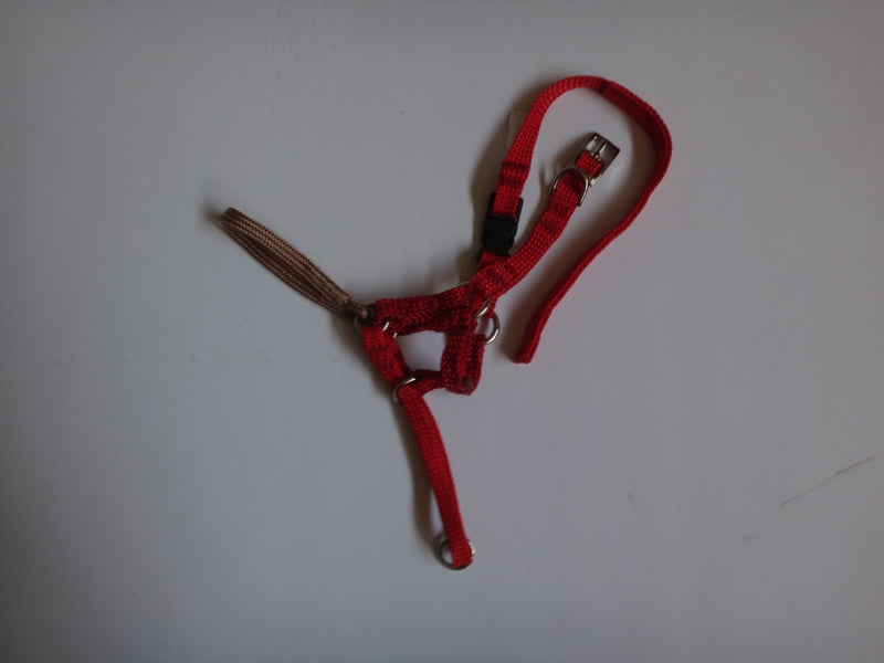 Comfort Trainer Head Halter Size 3